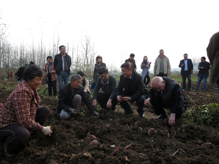 安徽省文联千名文艺家下基层采风—作家分队